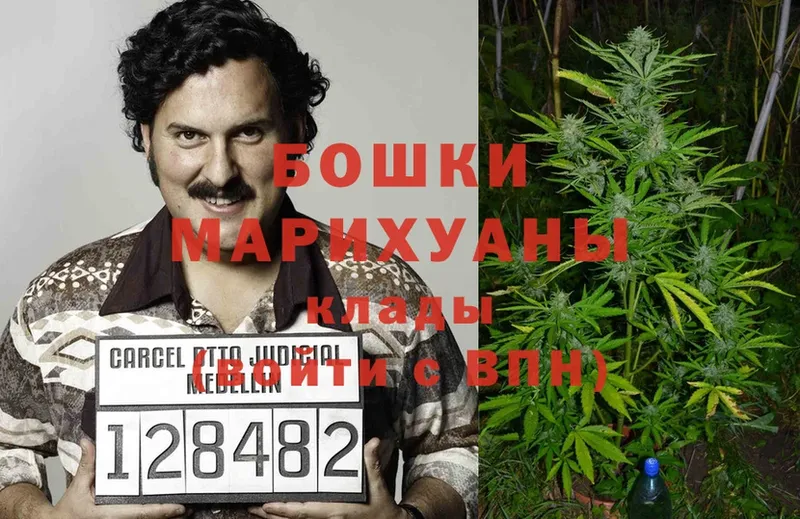 Канабис Ganja  Энем 